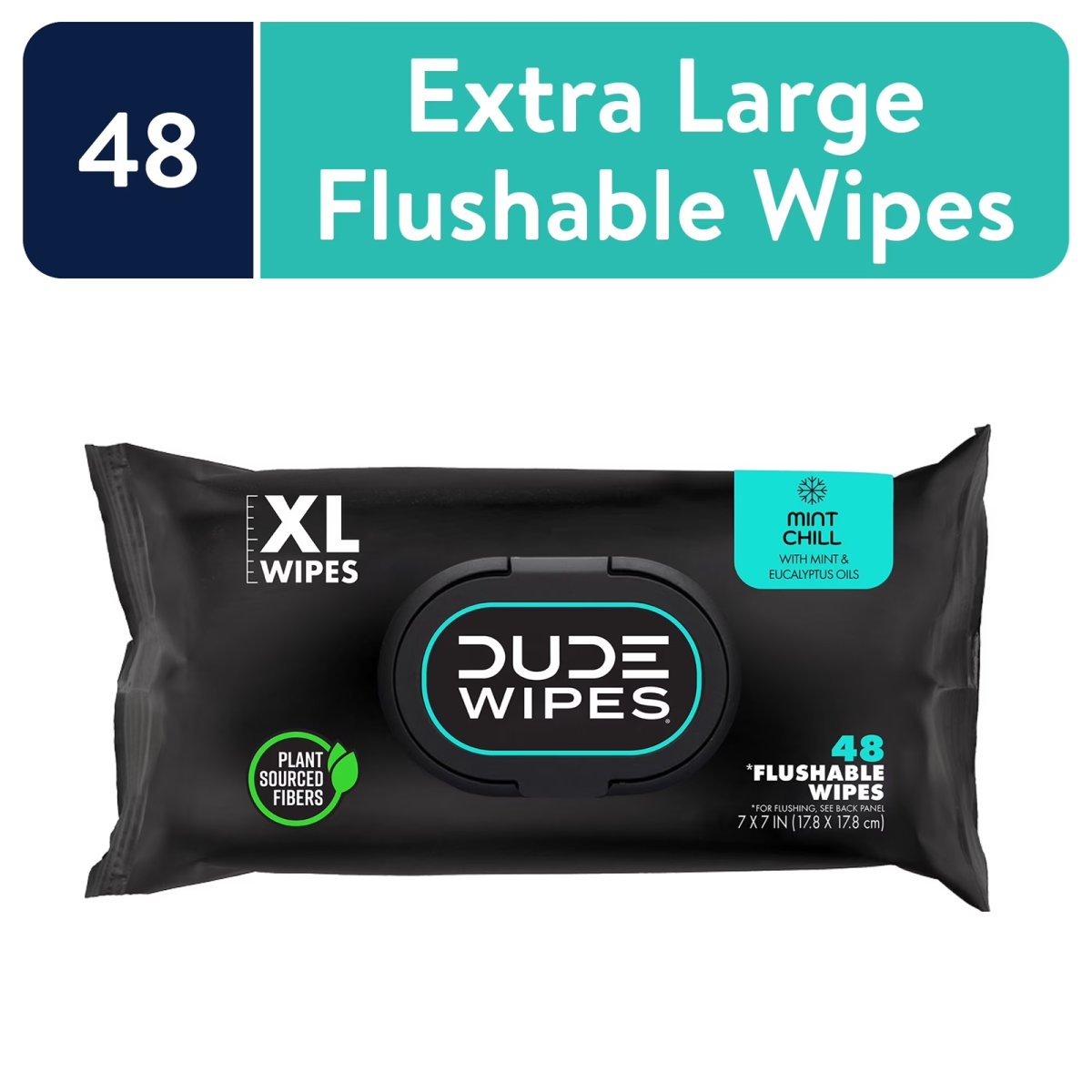 DUDE Disposable Wipes, Extra Large Mint-Colored Wet Wipes, 48 ​​Count